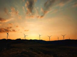 renewable energy