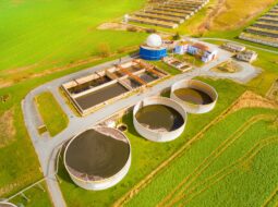 Suneet Singal-Biomass Energy