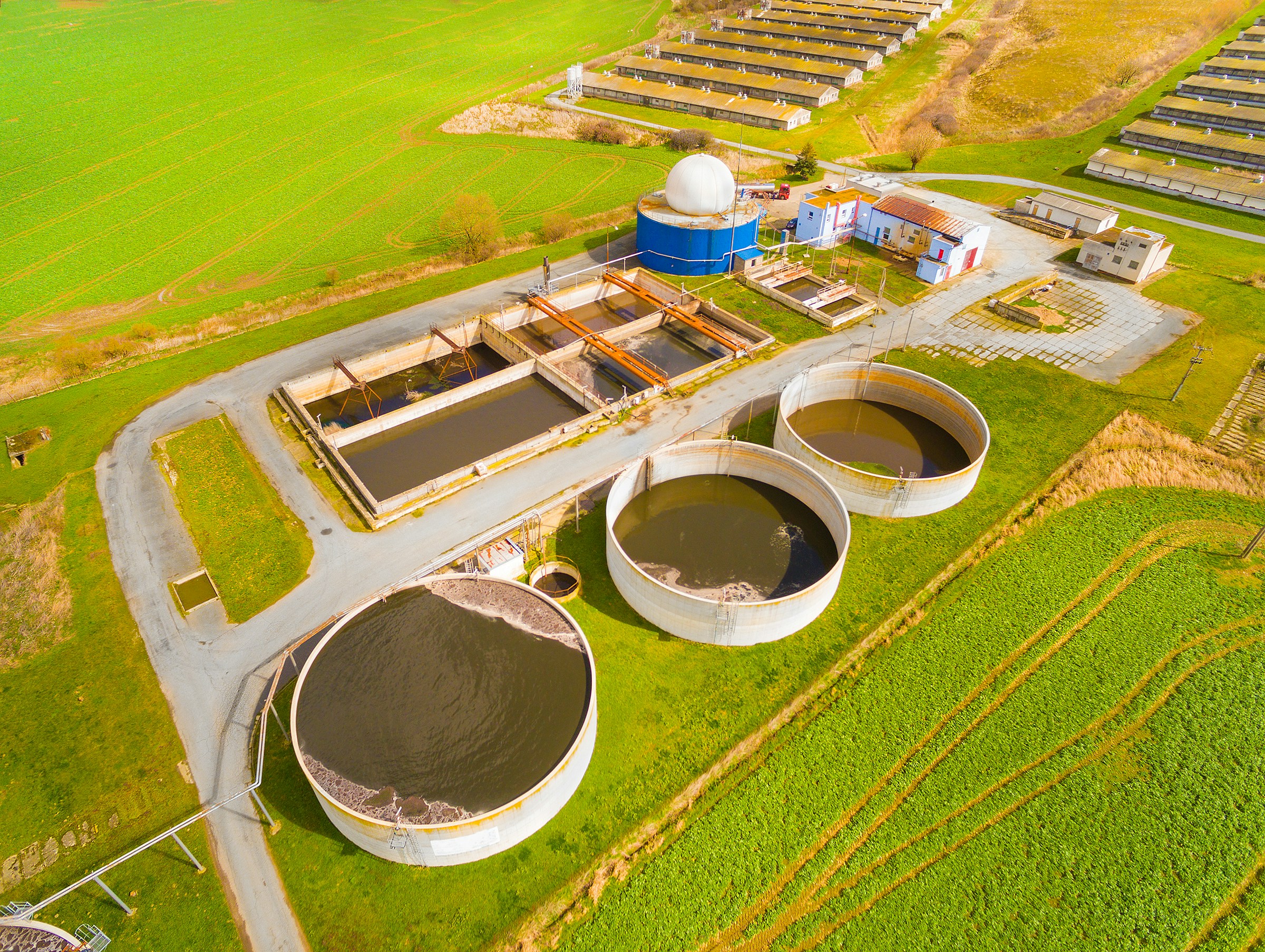 Suneet Singal-Biomass Energy