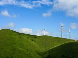 Greener Horizons How Renewable Energy Reshapes Our Environment