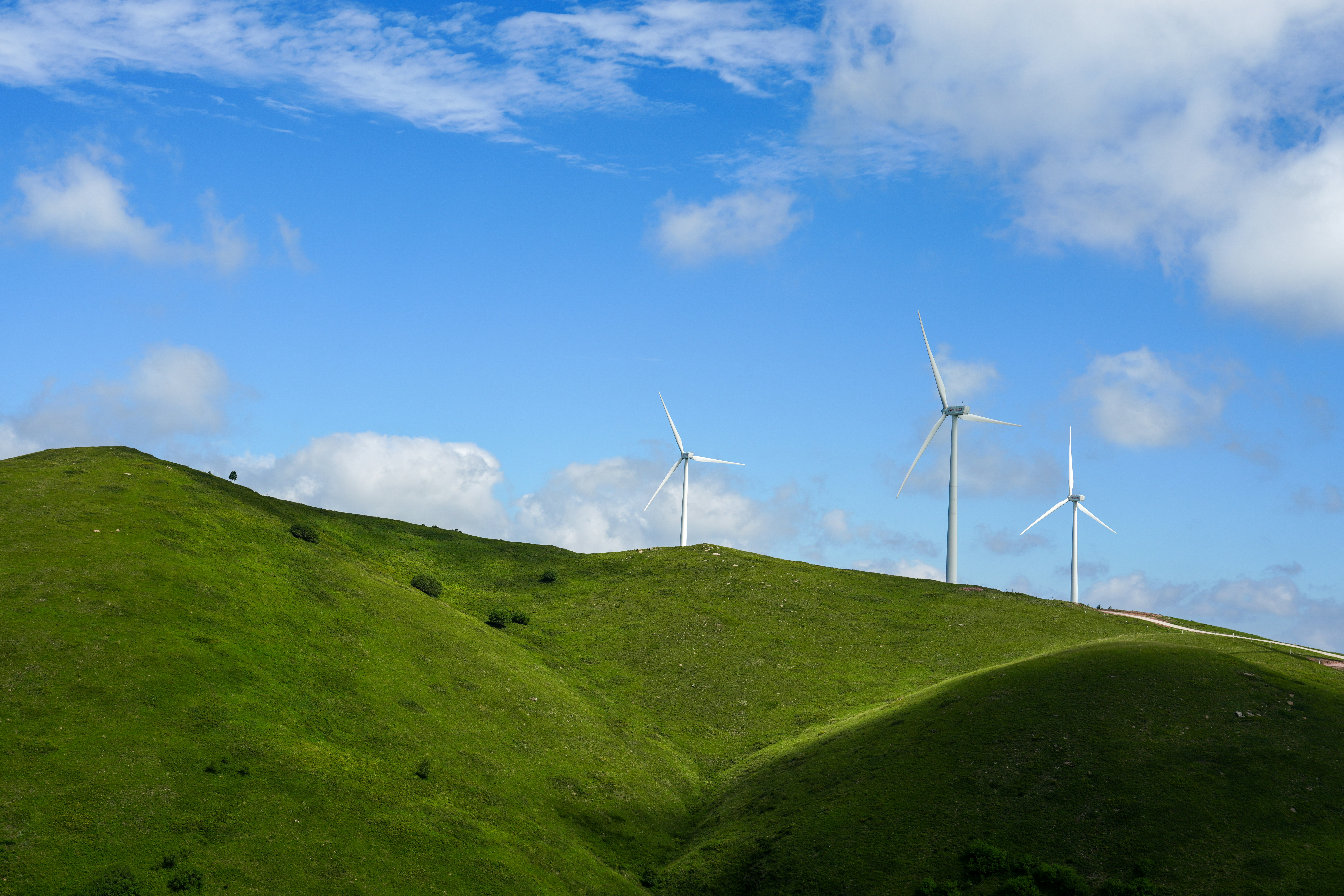 Greener Horizons How Renewable Energy Reshapes Our Environment